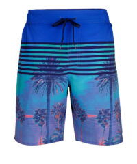 Zwemshort met print Wavebreaker Blauw