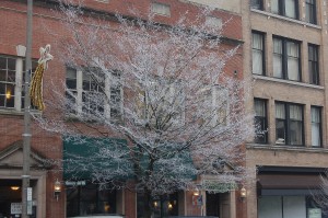 Frosted trees downtown Tacoma on early Sunday, Nov. 29
