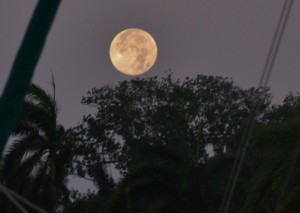 Moonset Feb 11