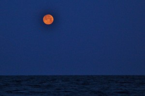 Moonrise Tuesday on Atlantic Ocean