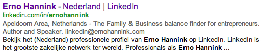 Erno Hannink LinkedIn in Google