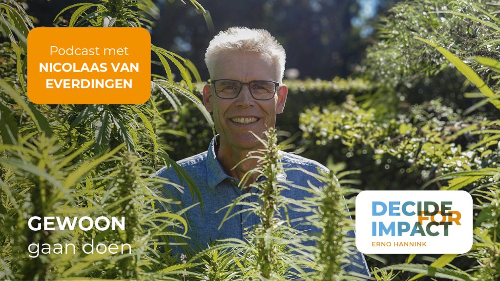 Nicolaas van Everdingen hennep veld