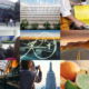 Designlab-Mobilee-management-en-advies website