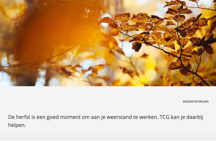 Designlab-Zhong-bericht-header