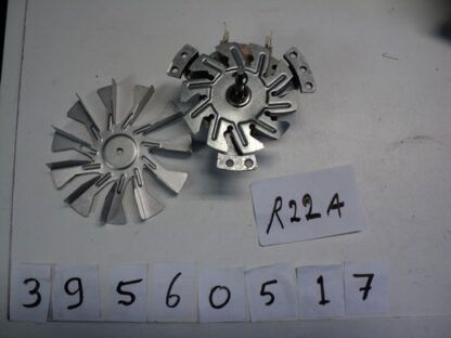 39560517