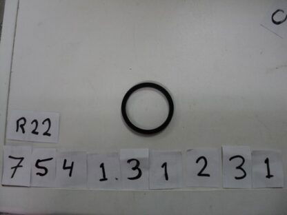 754131231