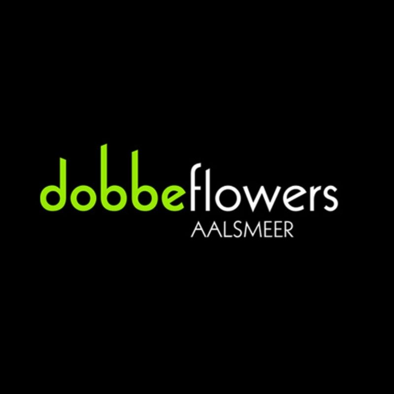 Farm Direct Collab Dobbe Flowers