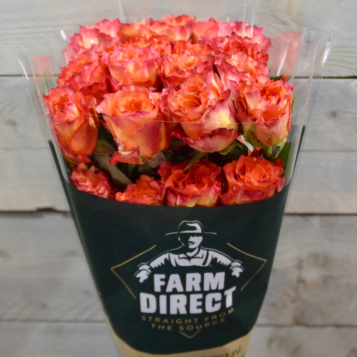 Free Spirit - Farm Direct Flowers | Premium Roses, Sustainably Sourced.