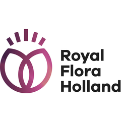 royal flora holland