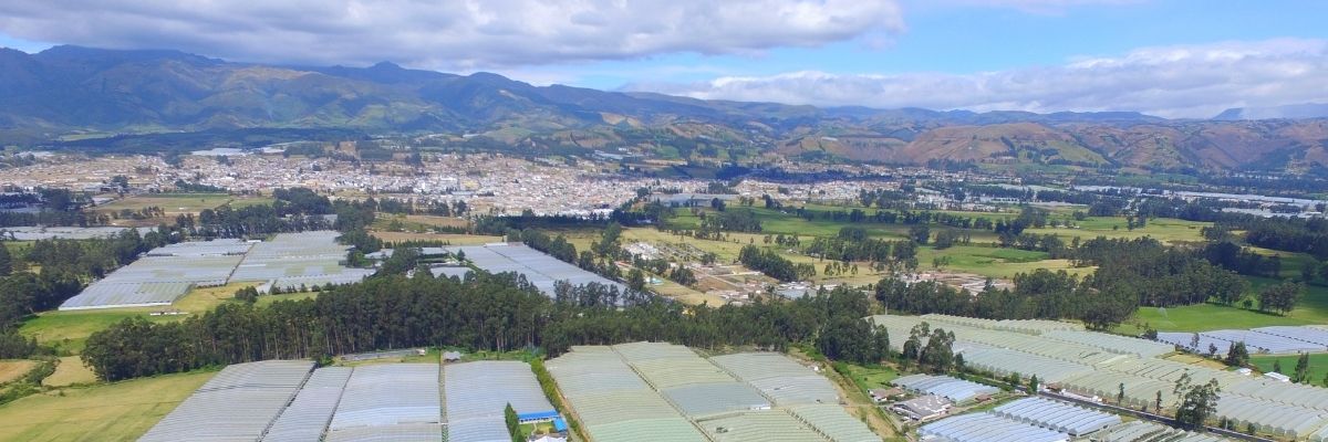 Hoe duurzaam is een Ecuador (Farm Direct Blog Banner) (1)