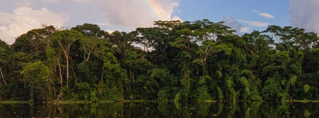 Farm Direct steunt ‘Selva: Vida Sin Fronteras’ om de regenwouden van het Amazonegebied te beschermen.