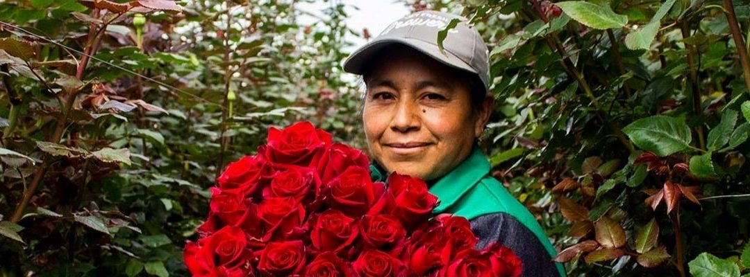 Hoe de kweker Jet Fresh zich inzet voor vrouwen in Ecuador.