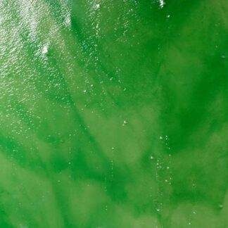 semi-transparent light green white