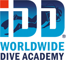 idd-worldwide-academy