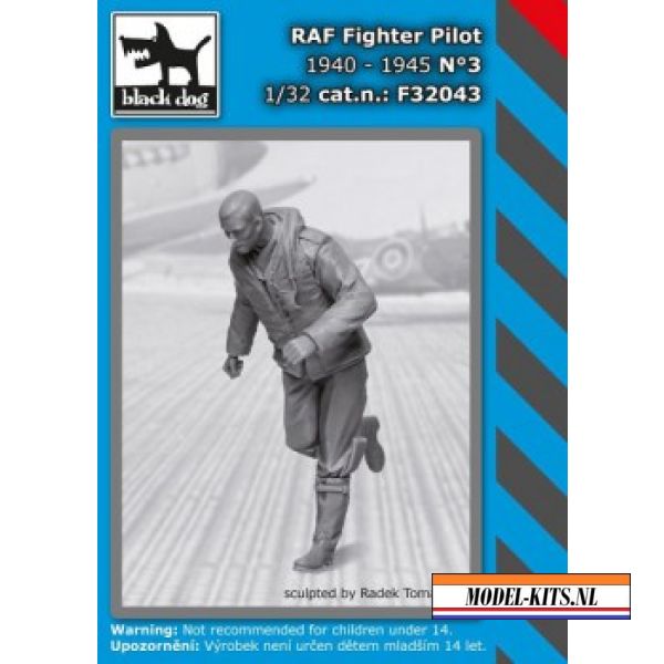 RAF FIGHTER PILOT N°3