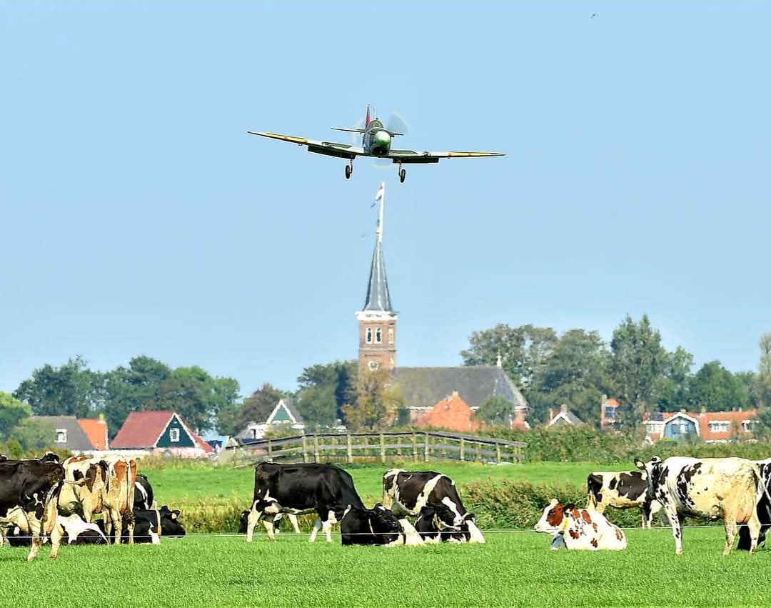 Fly-inn