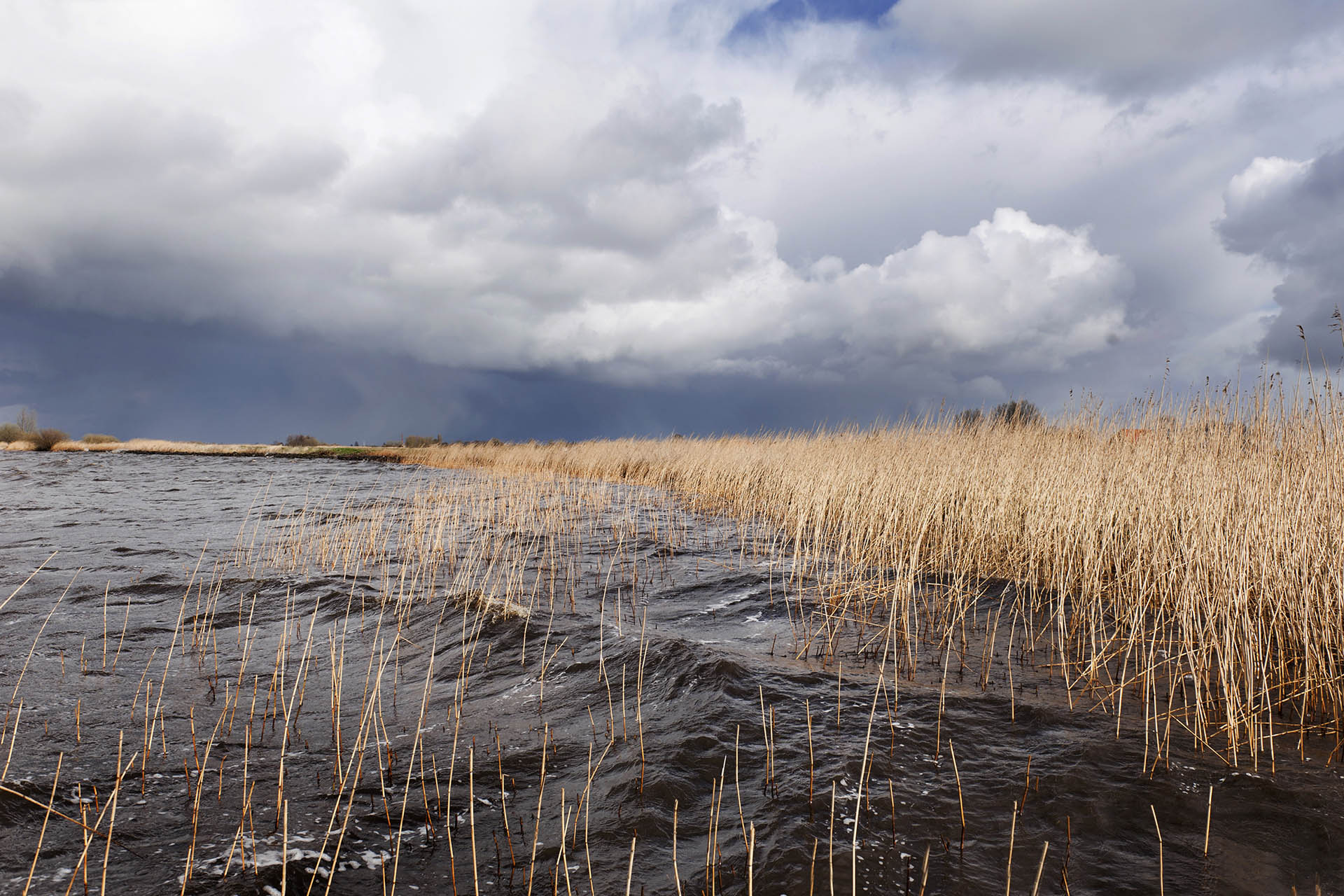 Kunstproject en expositie ‘Libje mei Wetter’