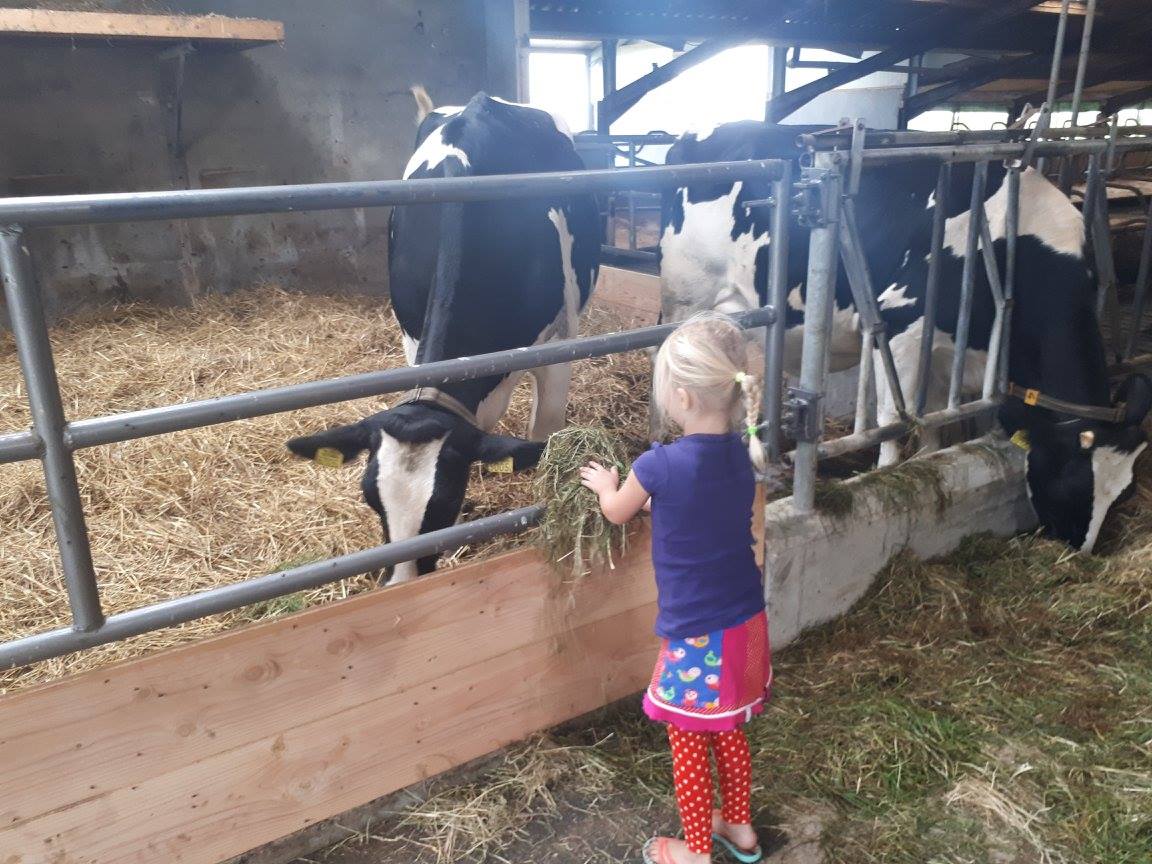 FF Boeren!