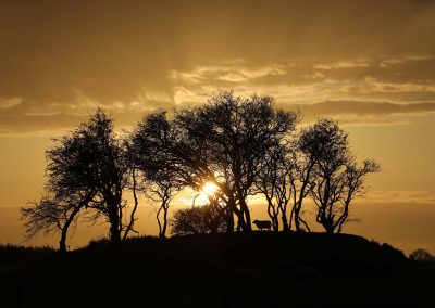 Oudemirdum mergelbult ondergaande zon 9