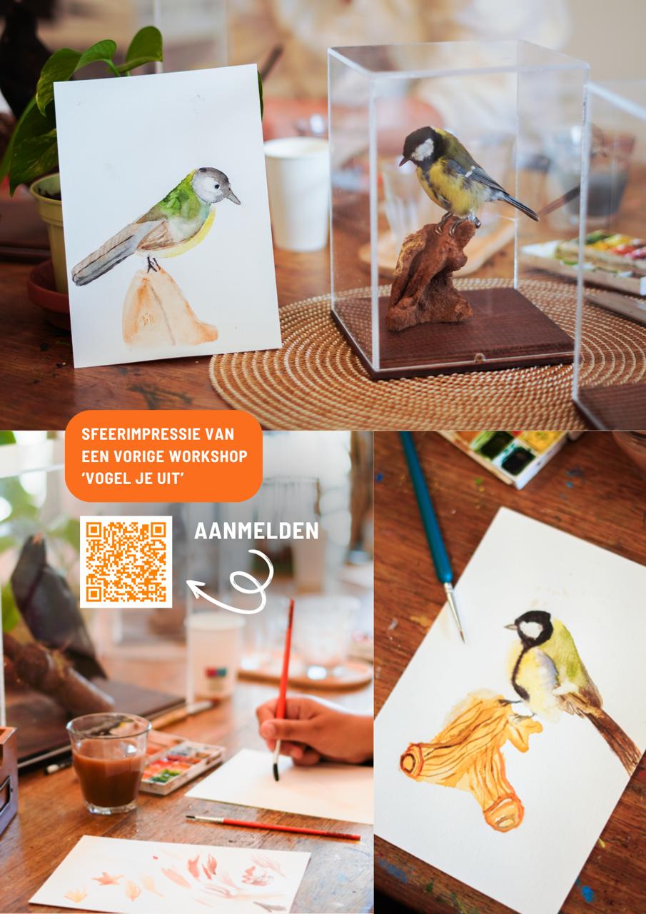 workshop tekenen en schilderen