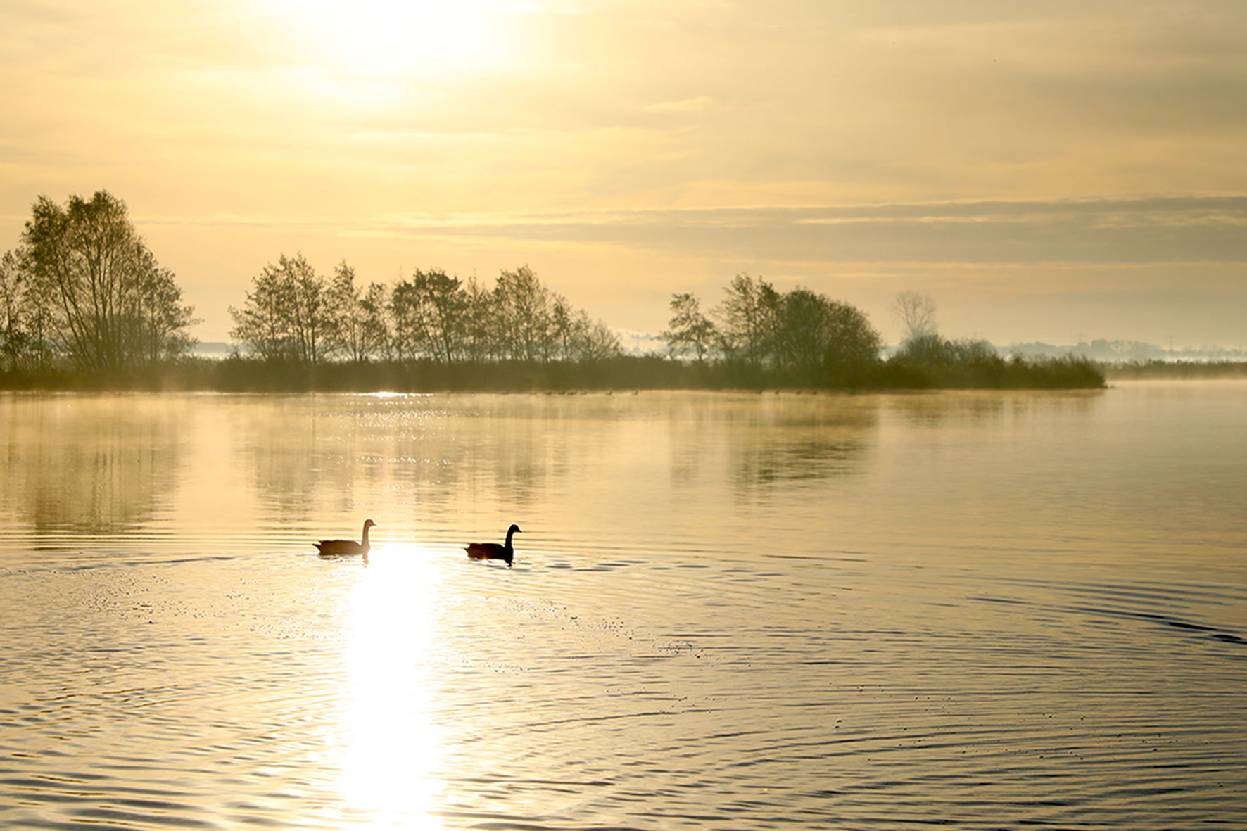 Lezing ’20 jaar Nationaal Landschap Zuidwest Fryslân’ door natuurfotograaf Jan Tijsma
