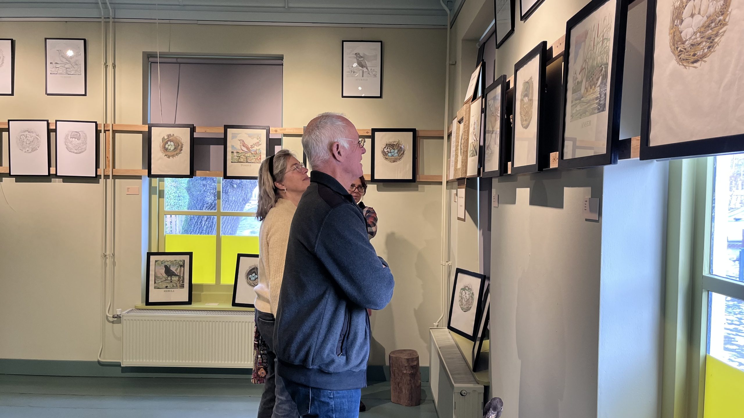 De vogels van Heerkens. De vogels van Heerkens.