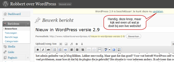 WordPress auto update 2.9
