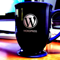 Waarom WordPress gebruiken?