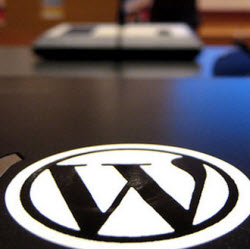 WordPress in domein mag niet meer