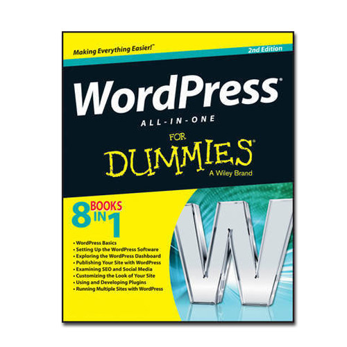 WordPress Dummies Al in One