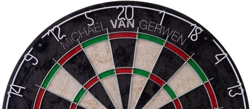 Michael van Gerwen dartbord banner