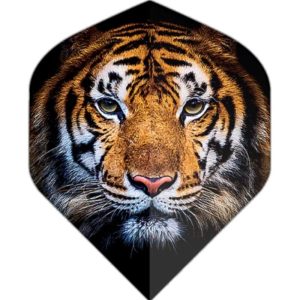Tiger Face Flights