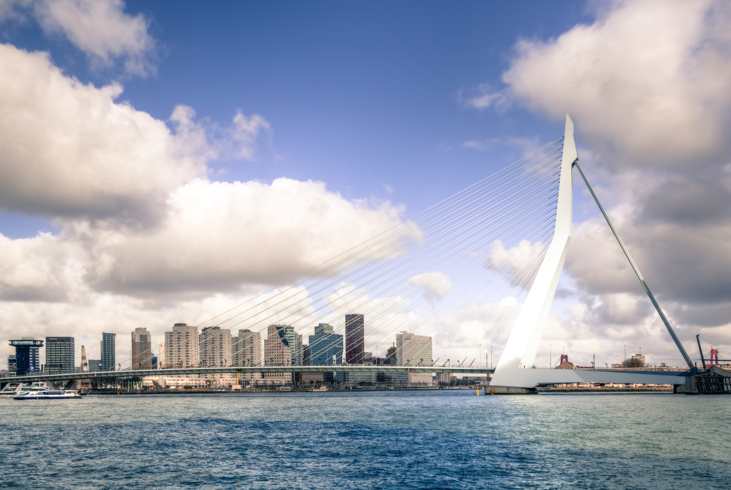 LP Borrel Zuid-Holland - Kieskring Rotterdam