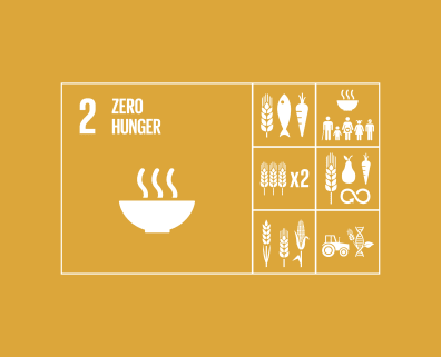 Sustainable Development Goal 2 – Geen honger