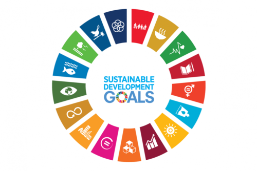 Sustainable Development Goal 1 – Armoede