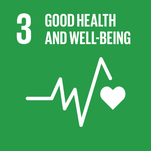 Sustainable Development Goal 3 – Gezondheidszorg