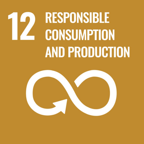 SDG 12:”Verantwoorde consumptie en productie” Doorgeschoten kringloop-activisme?