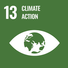 SDG 13: Klimaatactie? – er is absoluut geen haast.