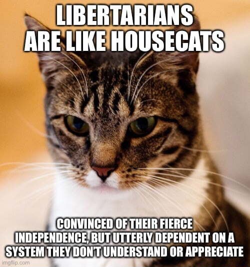 Libertarians are like housecats: convinced of their fierce independence, but utterly dependent on a system they don't understand or appreciate