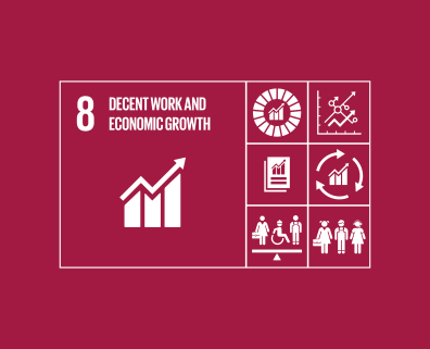 Sustainable Development Goal 8 – Economische groei, productiviteit en werk