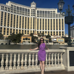 The Strip