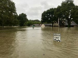 FEMA